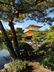 Kinkaku-ji (Goldener Pavillon)
