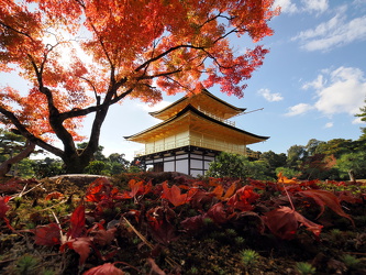 Kinkaku-ji (Goldener Pavillon)