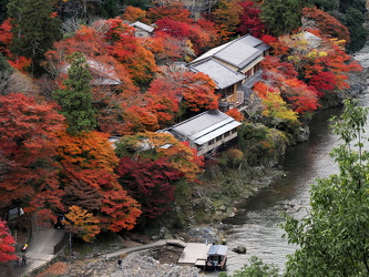 Ausblick auf den Katsura River