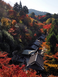 Ausblick zur Kiyomizu-dera Koyasunoto Pagoda