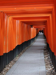 Torii