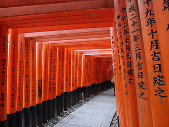Torii