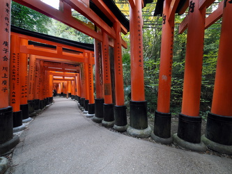 Torii