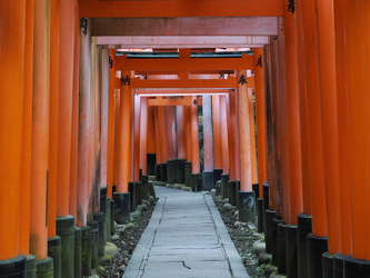Torii