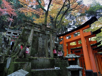 Fushimiinari Shrine