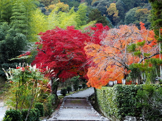 Herbstlaub