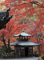 Otagi Nenbutsuji Temple