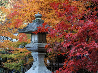 Laterne am Saisho-in