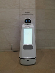 Roboter, der Fragen beantwortet