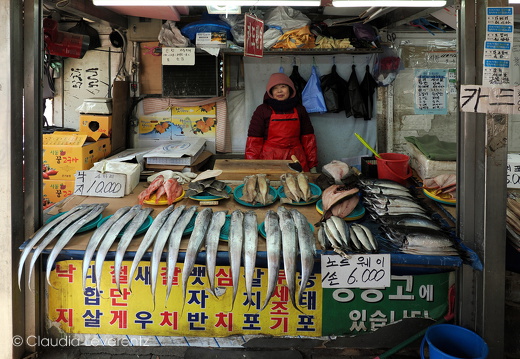 Asien / Südkorea / Märkte / Gyeongdong Market - Dieses Album anzeigen Gyeongdong Market