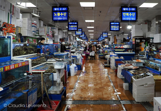 Asien / Südkorea / Märkte / Noryangjin Fish Market - Dieses Album anzeigen Noryangjin Fish Market