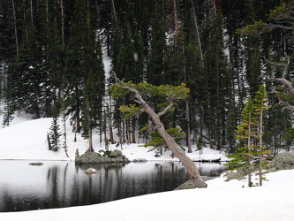 Dream Lake