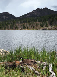 Sprague Lake