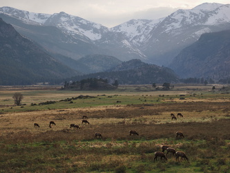 Entlang der Bear Lake Road