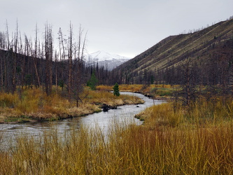 Willow Creek