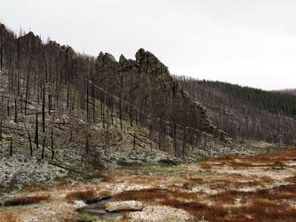 Landschaft am Willow Creek