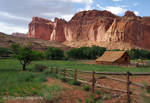 Capitol Reef NP