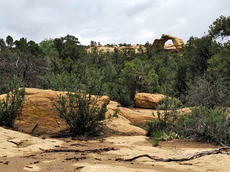 Cox Canyon Trail