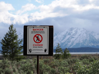 Danger - Bear Activity