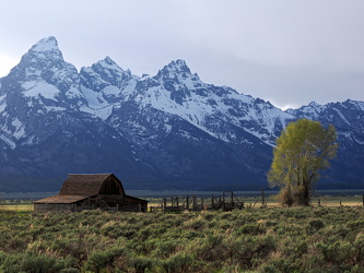 Mormon Row