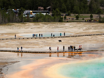 Grand Prismatic Spring Overlook