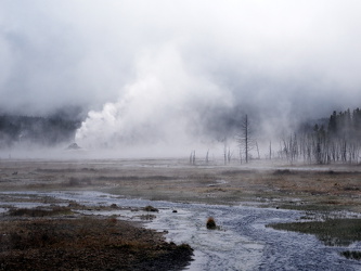 Geysir am Firehole Lake Drive
