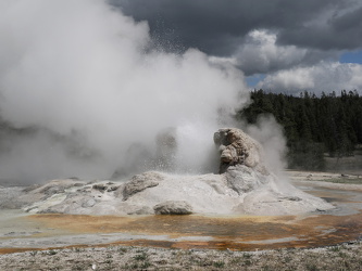 Grotto Geyser - Upper Geyser Basin