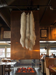 Polarfüchse am Kamin