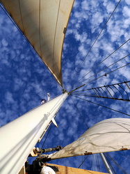 Beim Auslaufen aus dem Hafen werden die Segel gesetzt