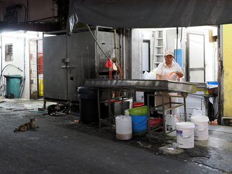 Abwasch im großen Stil