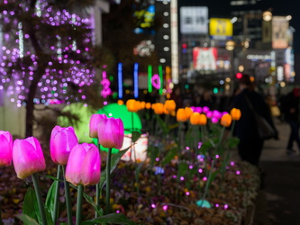 Plastik-Tulpen mit Beleuchtung