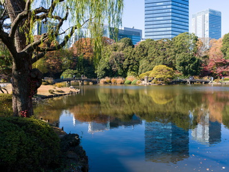 Shinjuku Gyoen Park
