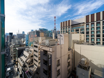 Ausblick vom Dach Uniqlo