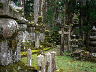 Alte Gräber im Wald
