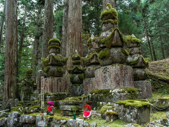 Alte Gräber im Wald