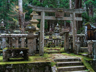 Torii und Gräber im Wald