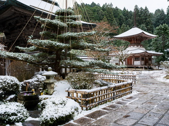 Baum mit Yukitsuri zum Schutz vor Schnee