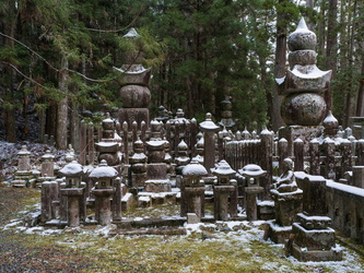 Alte Gräber im Wald