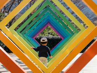 Cosmical Color Space von Shigeo Matsubara