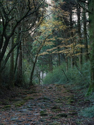 Alte Tokaido-Straße