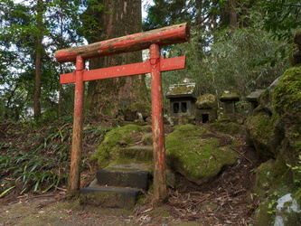Altes Torii im Wald am Kuzuryo Shrine