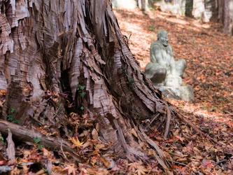 Sotoshu Hanano Tempel